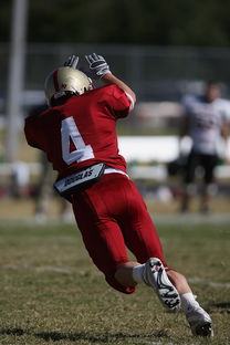 国王后场火力猛但防守端问题依旧，国王防守怎么样